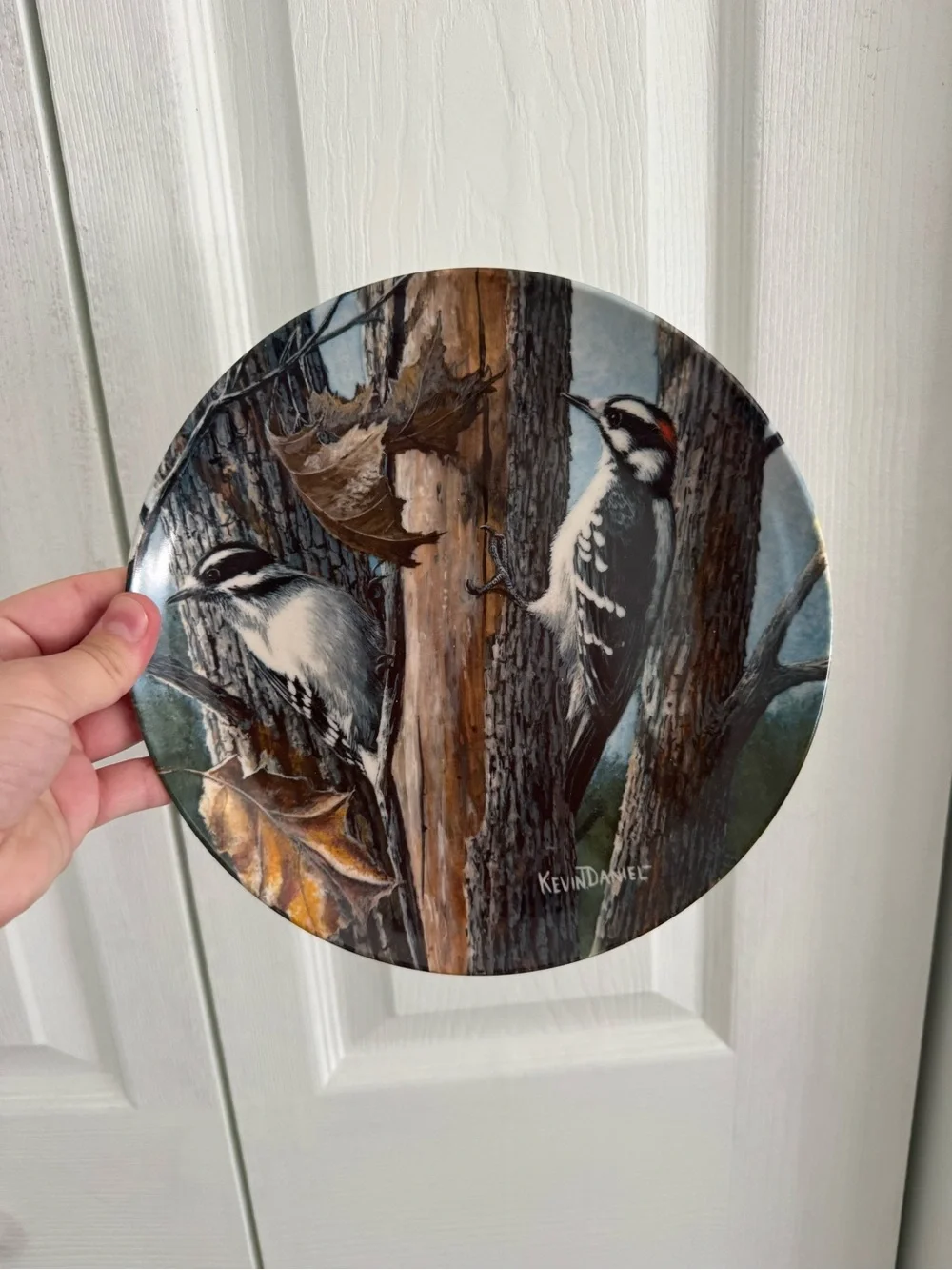 Knowles 'The Downy Woodpecker' Collector Plate by Kevin Daniel